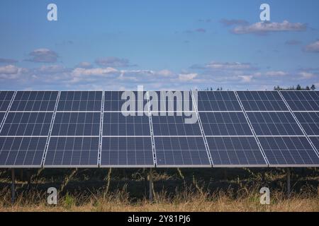 a large solar energy farm featuring rows of photovoltaic panels, in a ural area with trees and blue skies. Sheep graze the area. Energy production in Stock Photo