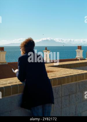 A person stands on a balcony overlooking a tranquil sea with snow-capped mountains in the distance. Stock Photo