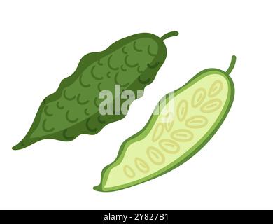 Green bitter melon. Sweet tasty asian fruit, bitter gourd. Vector illustration isolated on white background. Stock Vector