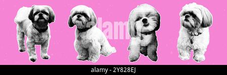 Halftone dogs in different poses. Contemporary collage for design template Stock Vector