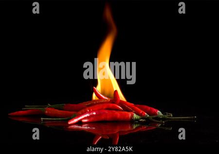 Macro Image of Red Hot Chilli Peppers with Flames of Fire on Black Background With Reflection Horizontal Stock Photo