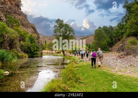 Rear view of hikers walking along the stream and next to trees in a wonderful nature. Stock Photo