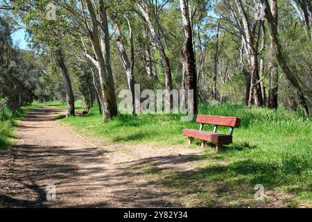 Bench seats along the John George Walk Trail that runs next to the Swan River between Woodbridge and Viveash, Perth, Western Australia Stock Photo