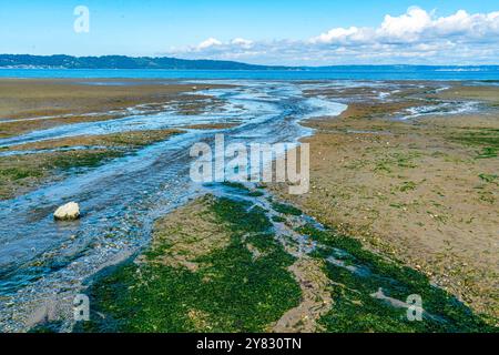 Water flows toward the Puget Sound at Dash Point State Park in ...