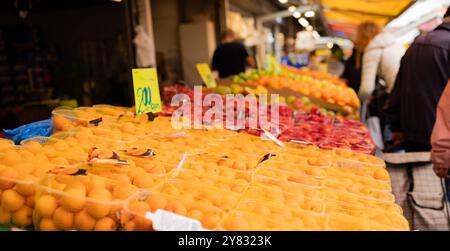Yellow plums, mirabelles at a market stall. Yellow plums, mirabelles at a market stall. Haagse Market in The Hague, Netherlands. netherlands the hague B97A6944 Stock Photo