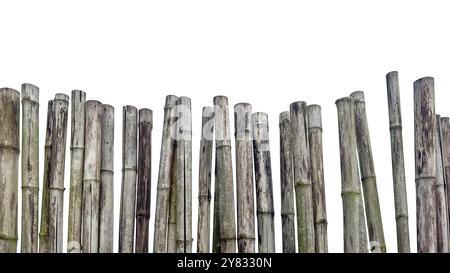 Cut out of an old, weathered bamboo fence with a grayish hue, showing signs of decay, with precise clipping paths on a white background. Stock Photo