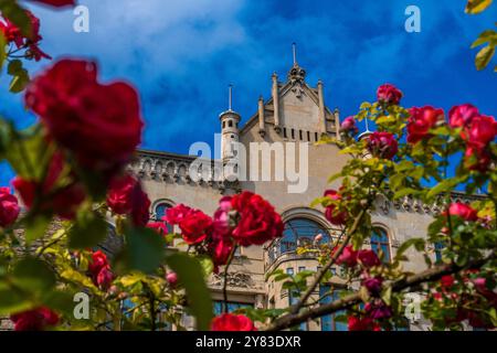 Beautiful Red Flowers Near the Maiden Tower. Baku, Azerbaijan. Stock Photo