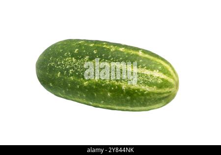 Cucumber isolated on white background. Cucumber clipping path Stock Photo