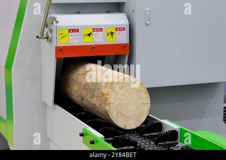 Log feeding into multi blade wood rip saw machine. Selective focus. Stock Photo