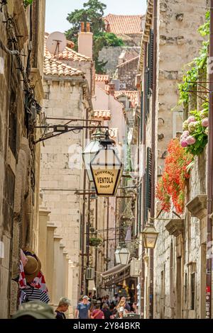 Dubrovnik Croatia,Old Town,Ulica Izmedu Polaca street,narrow alley,Ventola Souvenir Shop lamp,residential apartment buildings,Croatian Balkans Europe Stock Photo