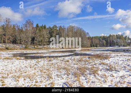 Irrigation lake by a meadow with snow by a forest in the countryside on a sunny winter day. Sweden Stock Photo