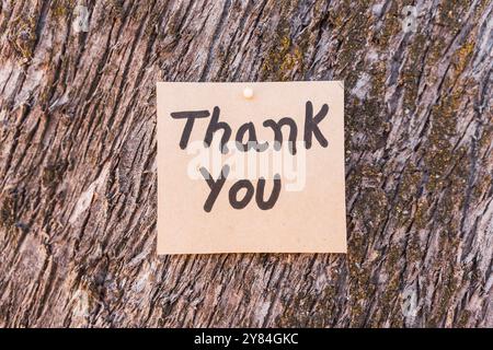 word thank you written and drawn on recycled cardboard with a textured tree bark background. Stock Photo