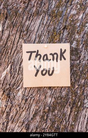 word thank you written and drawn on recycled cardboard with a textured tree bark background. Stock Photo