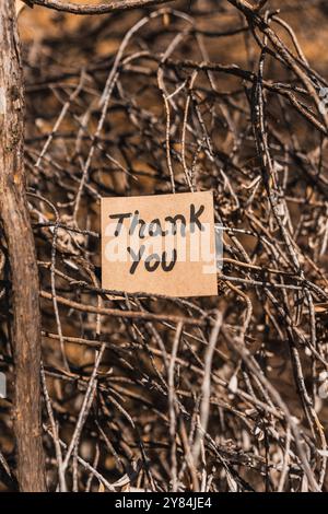 word thank you written and drawn on recycled cardboard with a textured tree bark background. Stock Photo