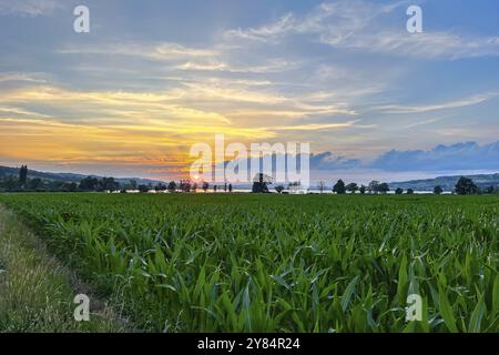 Green field at sunset with colourful sky and clouds, peaceful nature and trees on the horizon, Sempach, Lucerne, Switzerland, Europe Stock Photo