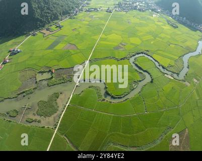 Amazing landscape nature view Rice fields and mountains in Bac Son valley, Lang Son,Northern Vietnam, Seen from above, High angle view Stock Photo