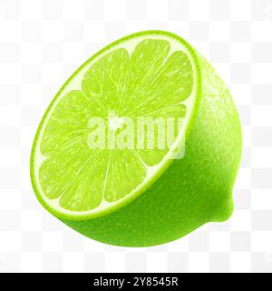 Half of lime fruit, isolated on transparent background. Vibrant tropical plant, exude freshness and zesty burst, promising a tangy flavor in every pie Stock Vector