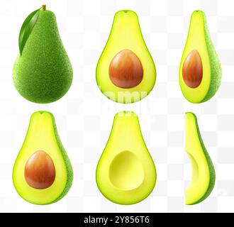 Fresh fruit avocado isolated on transparent background. Whole, slices and halved avocado with bone. Green avocado for healthy eating. Realistic 3d vec Stock Vector