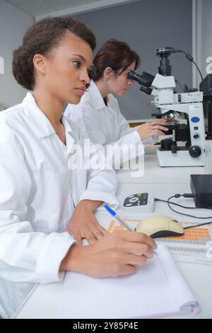 scientists working attentively with microscope in laboratory Stock Photo