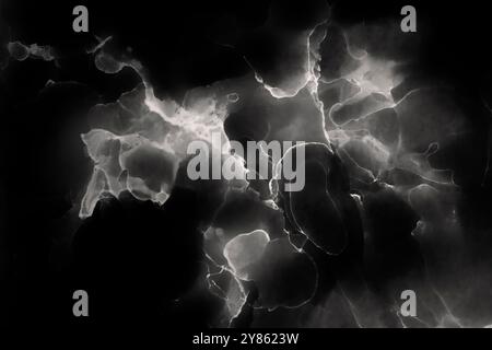 Macro close-up of abstract white and gray alcohol ink layers and splashes on black background. Fluid ink, full frame background in black and white. Stock Photo