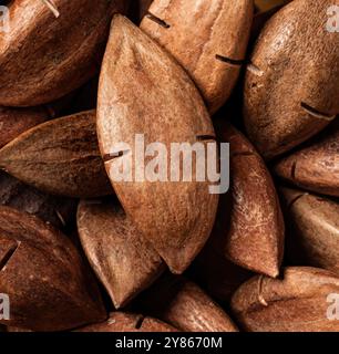 Pili nuts are forming an intricate textured background, captured from a high angle Stock Photo