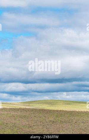 A vertical image of puffy white and grey clouds over a grassy empty paddock or field in central western New South Wales, Australia Stock Photo
