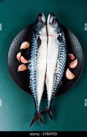Two uncooked mackerels or scomber and ingredients for cooking on the plate. Raw fish. Top view. Stock Photo