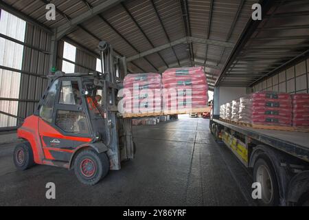 A forklift truck loading a lorry with bags of produce at the cement production facility at Heidelberg Materials’ Padeswood Works in Mold, Flintshire, Stock Photo