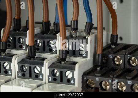 Close up of electrical terminal blocks with connected wires Stock Photo
