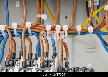 Organized wiring and cables in an electrical control panel Stock Photo
