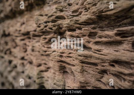 Detail of a weathered sandstone wall. Stock Photo
