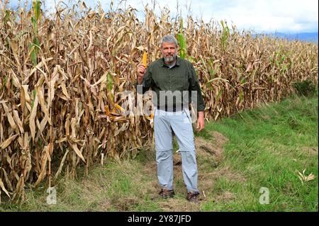 Portrait of corn farmer in ripe maize crop field wearing straw hat and ...