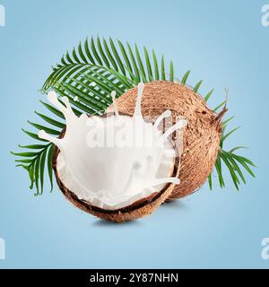 coconuts with palm leaves and milk splash on a light blue background. Stock Photo