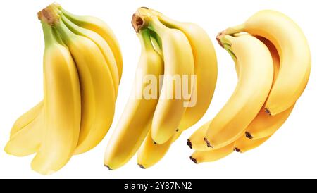 set of the bananas isolated on a white background. Stock Photo