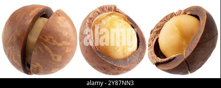 set of the macadamia nuts isolated on a white background. Stock Photo