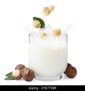 Macadamia nuts falling into glass of milk on white background Stock Photo