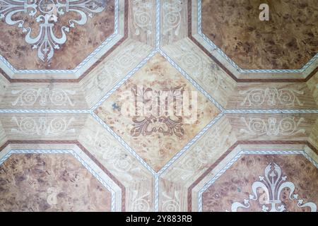 Elegant symmetry: ornamental geometric and floral patterns on a vintage floor. Stock Photo