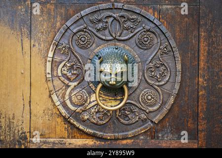 Old brass door knocker on wooden door Stock Photo
