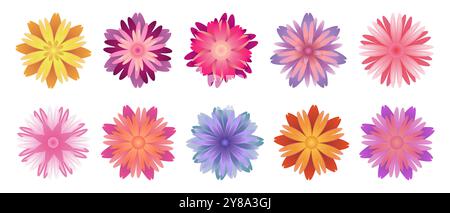 Beautiful Isolated Flower Collection. Floral Set Stock Vector