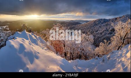 Fantastic winter landscape during sunset. colorful sky glowing by sunlight. Dramatic wintry scene. snow covered trees under warm sunlit. Sunlight spar Stock Photo