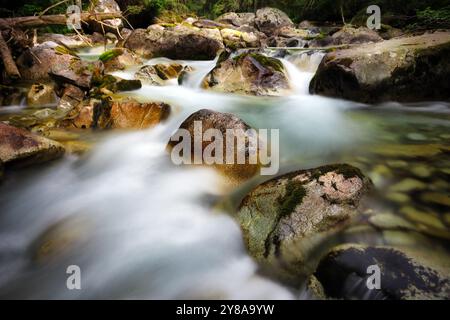 Beautiful flowing water in mountainous place, long exposure of fast strong stream. River in the mountains,forest on the background Stock Photo