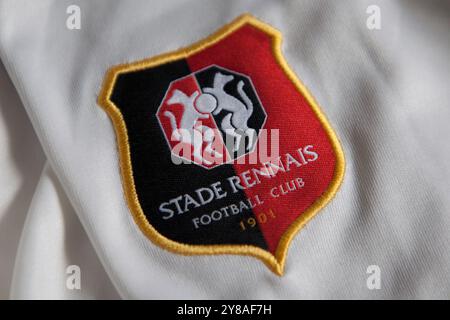 Rétro 2020 : le Stade Rennais en Ligue des Champions, une première