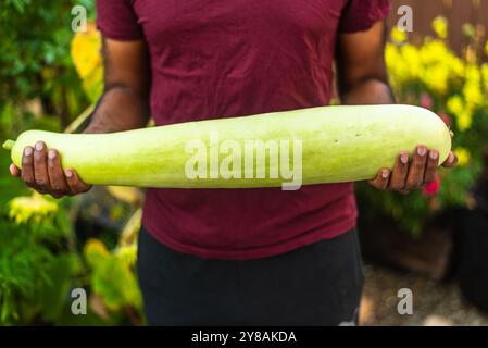 Man holding a large bottle gourd in a garden with a green backdrop. Stock Photo