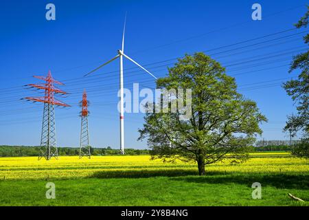 Power pylons, wind turbines and rapeseed fields in Curslack, Hamburg, Germany, Strommasten, Windräder und Rapsfelder in Curslack, Deutschland Stock Photo