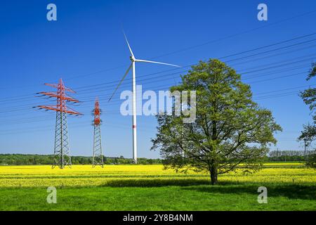 Power pylons, wind turbines and rapeseed fields in Curslack, Hamburg, Germany, Strommasten, Windräder und Rapsfelder in Curslack, Deutschland Stock Photo