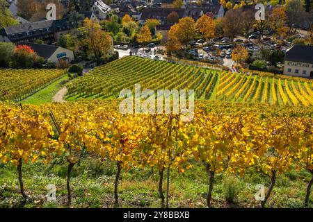 View through the vines down to the small wine village of Staufen im Breisgau near Freiburg with the vineyards in beautiful autumn colors Stock Photo