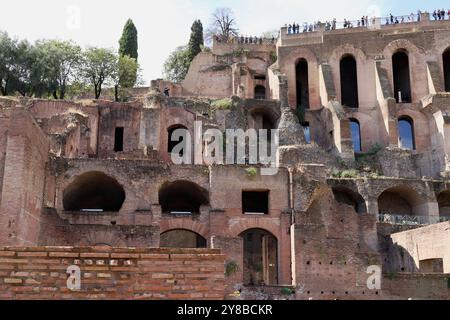 Domus Tiberiana, Palatine Hill, Roman Forum, Rome, Italy Stock Photo