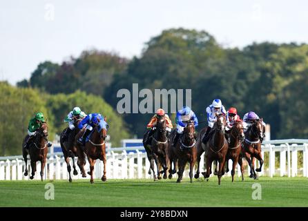 Mercian Warrior (third right) ridden by Jack Nicholls on their way to winning the Molton Brown Amateur Jockeys' Handicap during BetMGM Autumn Racing Weekend at Ascot Racecourse, Berkshire. Picture date: Friday October 4, 2024. Stock Photo