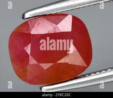 Exquisite Close-up of a Lustrous Ruby Gemstone Held by Precise Silver Tweezers Against a Neutral Background. Stock Photo
