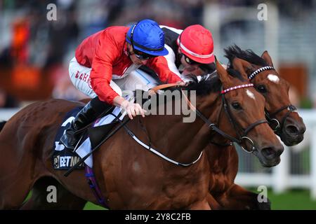 Russian Crescendo ridden by Tom Marquand (left) passes Fireblade ridden by Kieran Shoemark on their way to winning the BetmMGM Novice Stakes during BetMGM Autumn Racing Weekend at Ascot Racecourse, Berkshire. Picture date: Friday October 4, 2024. Stock Photo